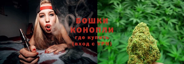 мет Ладушкин