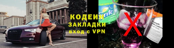 шишки Лабытнанги