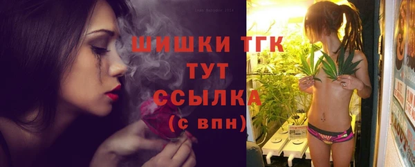 шишки Лабытнанги