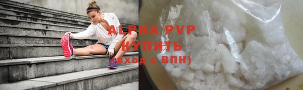 шишки Лабытнанги