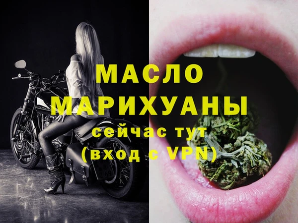 шишки Лабытнанги