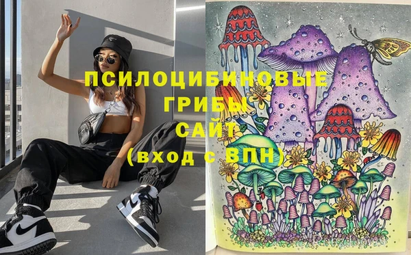 шишки Лабытнанги