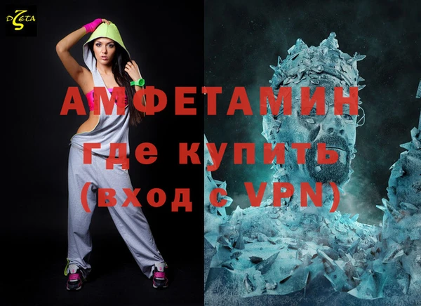 шишки Лабытнанги