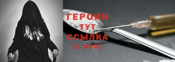 шишки Лабытнанги