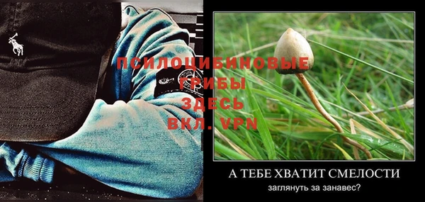 мет Ладушкин