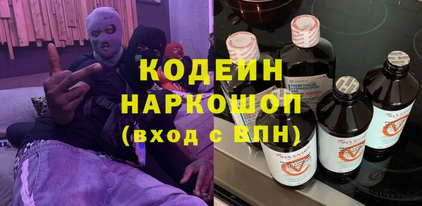шишки Лабытнанги
