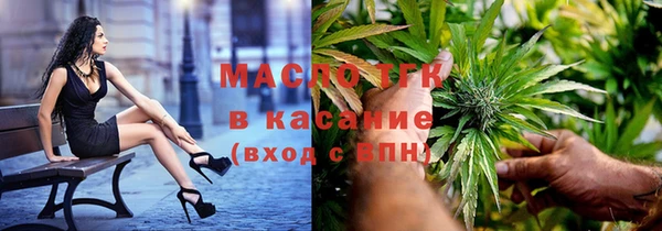 шишки Лабытнанги