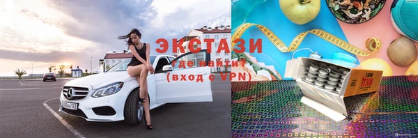 шишки Лабытнанги