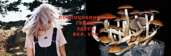 шишки Лабытнанги
