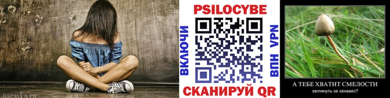 Псилоцибиновые грибы мицелий Петровск