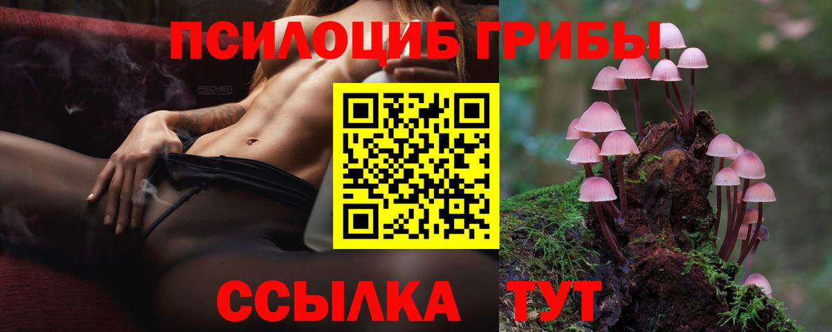 А ПВП Петровск